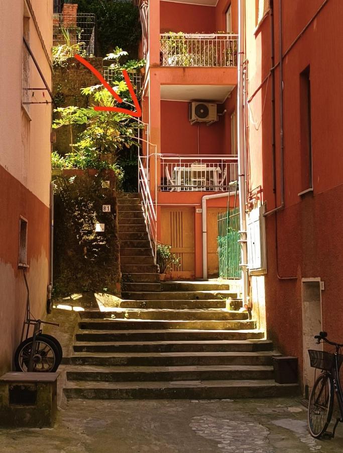 Classic Monterossino Apartment In Old Town Monterosso al Mare Exteriér fotografie